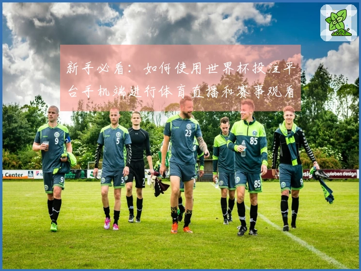 新手必看：如何使用世界杯投注平台手机端进行体育直播和赛事观看指南