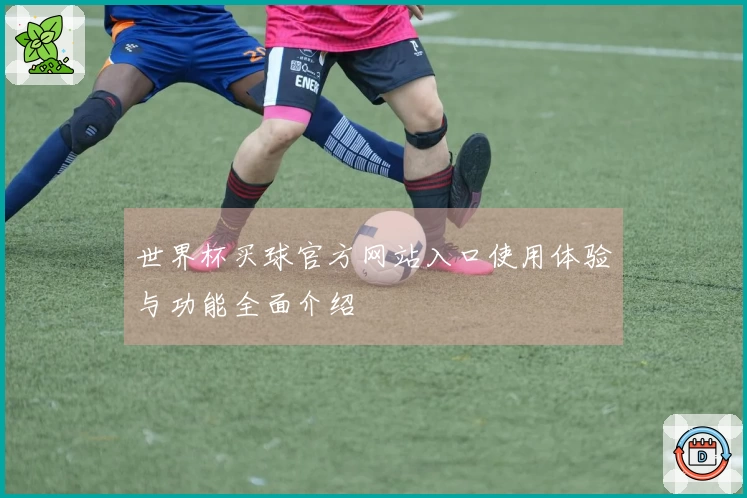 世界杯买球官方网站入口使用体验与功能全面介绍