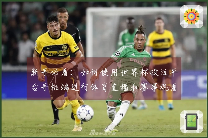 新手必看：如何使用世界杯投注平台手机端进行体育直播和赛事观看指南