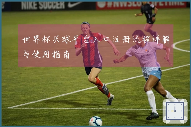 世界杯买球平台入口注册流程详解与使用指南