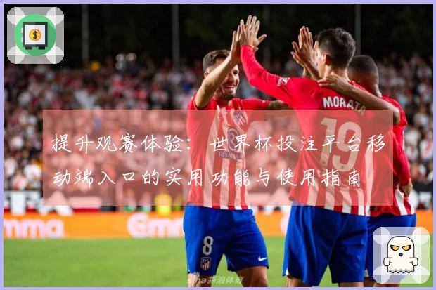 提升观赛体验：世界杯投注平台移动端入口的实用功能与使用指南