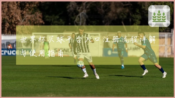 世界杯买球平台入口注册流程详解与使用指南