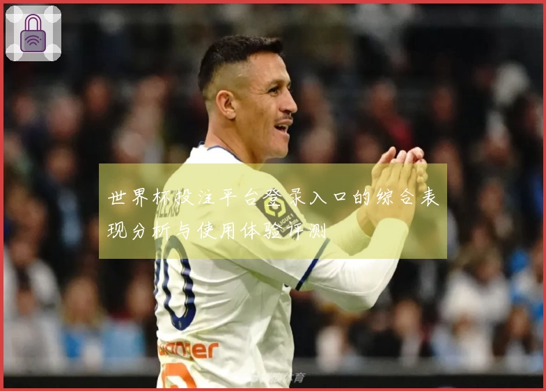世界杯投注平台登录入口的综合表现分析与使用体验评测