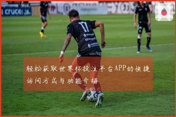 轻松获取世界杯投注平台APP的快捷访问方式与功能介绍