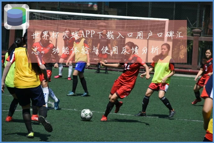 世界杯买球APP下载入口用户口碑汇总：功能体验与使用反馈分析